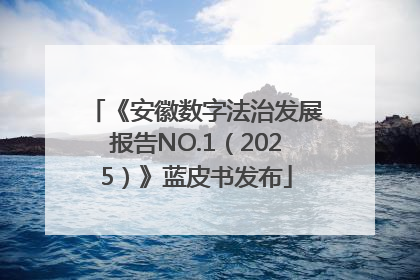 《安徽数字法治发展报告NO.1（2025）》蓝皮书发布