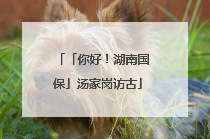 「你好！湖南国保」汤家岗访古