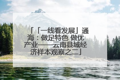「一线看发展」通海：做足特色 做优产业——云南县域经济样本观察之二