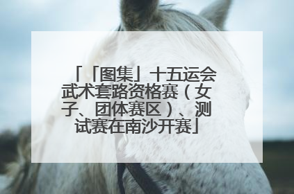 「图集」十五运会武术套路资格赛（女子、团体赛区）、测试赛在南沙开赛