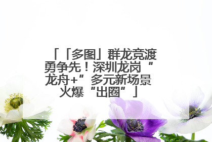 「多图」群龙竞渡勇争先！深圳龙岗“龙舟+”多元新场景火爆“出圈”