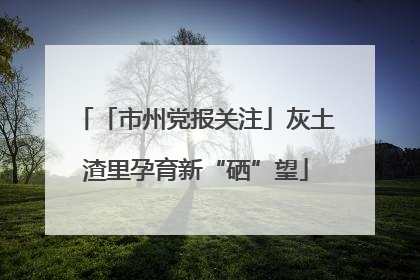 「市州党报关注」灰土渣里孕育新“硒”望