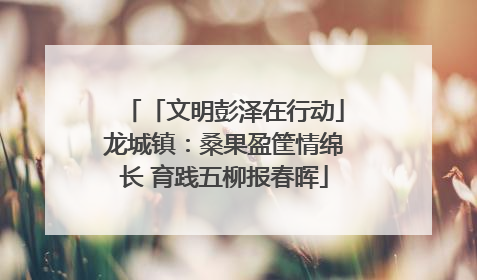 「文明彭泽在行动」龙城镇：桑果盈筐情绵长 育践五柳报春晖