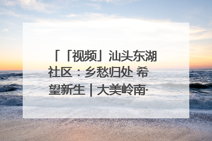 「视频」汕头东湖社区：乡愁归处 希望新生｜大美岭南·百村焕新记