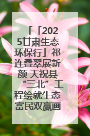 「2025甘肃生态环保行」祁连叠翠展新颜 天祝县“三北”工程绘就生态富民双赢画卷