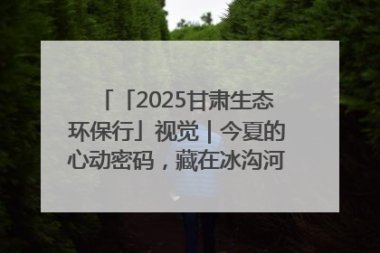 「2025甘肃生态环保行」视觉｜今夏的心动密码，藏在冰沟河的潋滟波光里