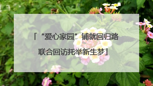 “爱心家园”铺就回归路 联合回访托举新生梦