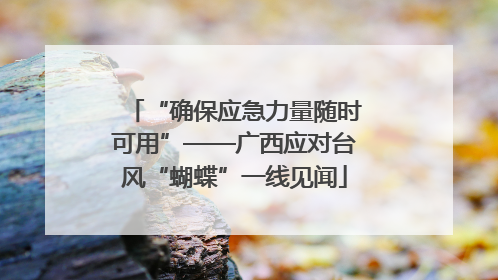 “确保应急力量随时可用”——广西应对台风“蝴蝶”一线见闻