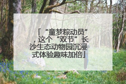 “童梦粽动员”，这个“双节”长沙生态动物园沉浸式体验趣味加倍