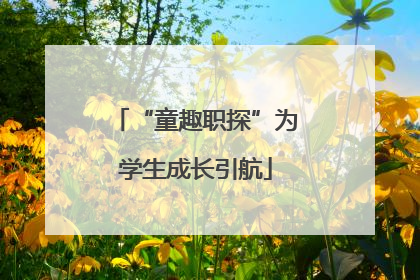 “童趣职探”为学生成长引航