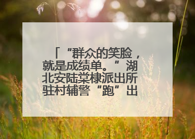 “群众的笑脸，就是成绩单。”湖北安陆棠棣派出所驻村辅警“跑”出幸福加速度