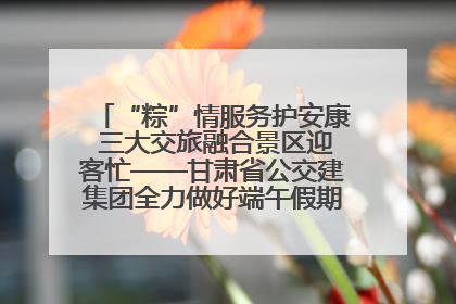 “粽”情服务护安康 三大交旅融合景区迎客忙——甘肃省公交建集团全力做好端午假期景区运营工作
