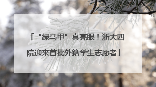 “绿马甲”真亮眼！浙大四院迎来首批外籍学生志愿者