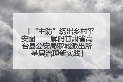 “主防”绣出乡村平安图——解码甘肃省高台县公安局罗城派出所基层治理新实践