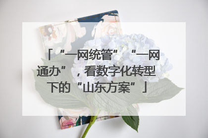“一网统管”“一网通办”，看数字化转型下的“山东方案”