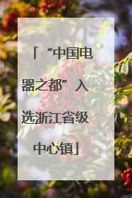 “中国电器之都”入选浙江省级中心镇