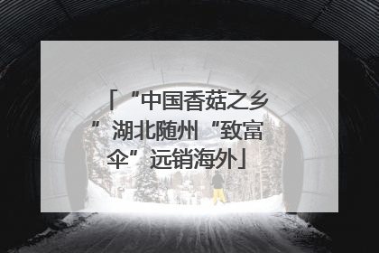 “中国香菇之乡”湖北随州“致富伞”远销海外