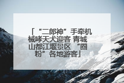 “二郎神”手牵机械哮天犬迎客 青城山都江堰景区 “圈粉”各地游客