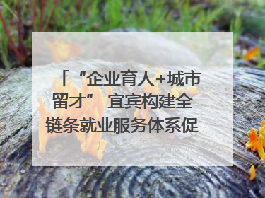 “企业育人+城市留才” 宜宾构建全链条就业服务体系促高校毕业生就业｜您牵挂的四川