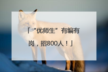 “优师生”有编有岗，招800人！