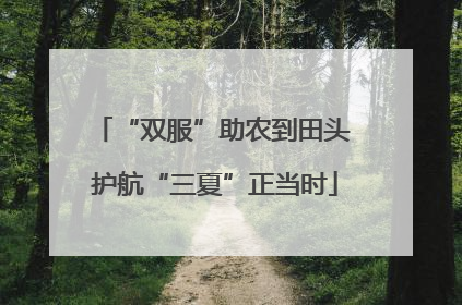 “双服”助农到田头 护航“三夏”正当时
