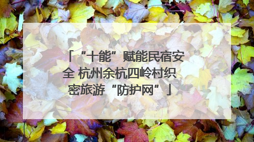 “十能”赋能民宿安全 杭州余杭四岭村织密旅游“防护网”