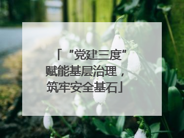 “党建三度”赋能基层治理，筑牢安全基石