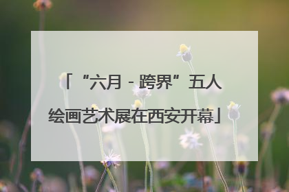 “六月 - 跨界”五人绘画艺术展在西安开幕