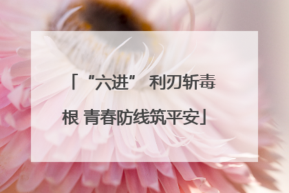 “六进” 利刃斩毒根 青春防线筑平安