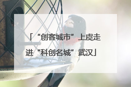 “创客城市”上虞走进“科创名城”武汉