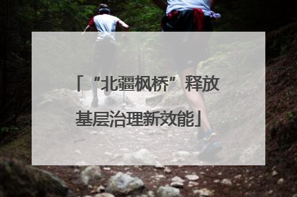 “北疆枫桥”释放基层治理新效能