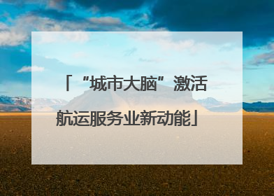 “城市大脑”激活航运服务业新动能