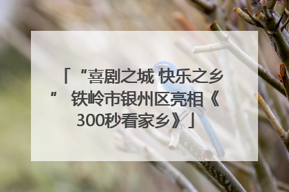 “喜剧之城 快乐之乡” 铁岭市银州区亮相《300秒看家乡》