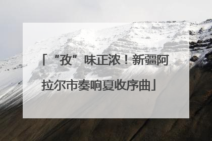 “孜”味正浓！新疆阿拉尔市奏响夏收序曲