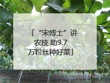 “宋博士”讲农技 助9.7万粉丝种好菜