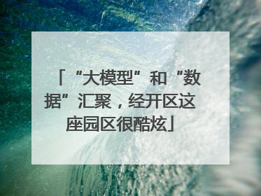 “大模型”和“数据”汇聚，经开区这座园区很酷炫