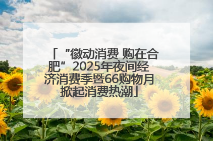 “徽动消费 购在合肥”2025年夜间经济消费季暨66购物月掀起消费热潮