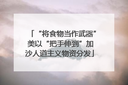 “将食物当作武器” 美以“把手伸到”加沙人道主义物资分发