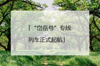“岱岳号”专线列车正式起航