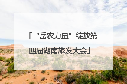 “岳农力量”绽放第四届湖南旅发大会