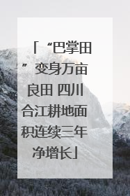 “巴掌田”变身万亩良田 四川合江耕地面积连续三年净增长