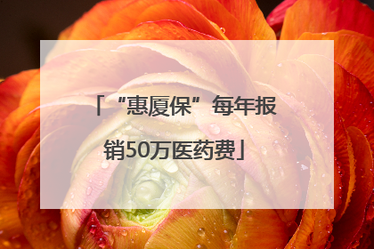 “惠厦保”每年报销50万医药费