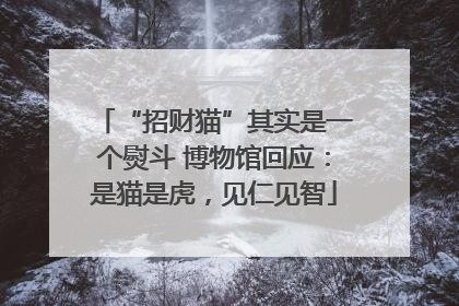 “招财猫”其实是一个熨斗 博物馆回应：是猫是虎，见仁见智