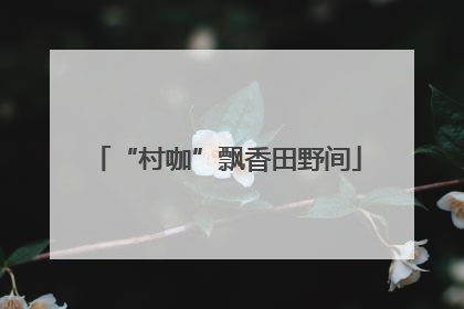 “村咖”飘香田野间