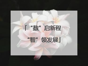 “数”启新程 “智”领发展