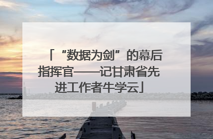 “数据为剑”的幕后指挥官——记甘肃省先进工作者牛学云