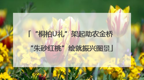 “桐柏U礼”架起助农金桥 “朱砂红桃”绘就振兴图景