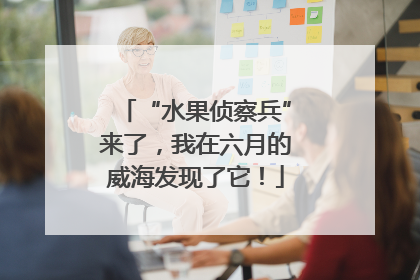 “水果侦察兵”来了，我在六月的威海发现了它！