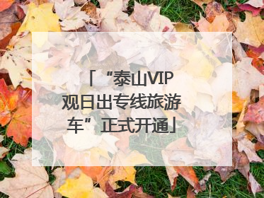“泰山VIP观日出专线旅游车”正式开通