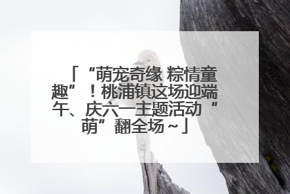 “萌宠奇缘 粽情童趣”！桃浦镇这场迎端午、庆六一主题活动“萌”翻全场～